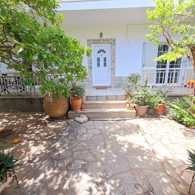 20' From The Airport,20' From The Center Of Athens Atenas Exterior foto